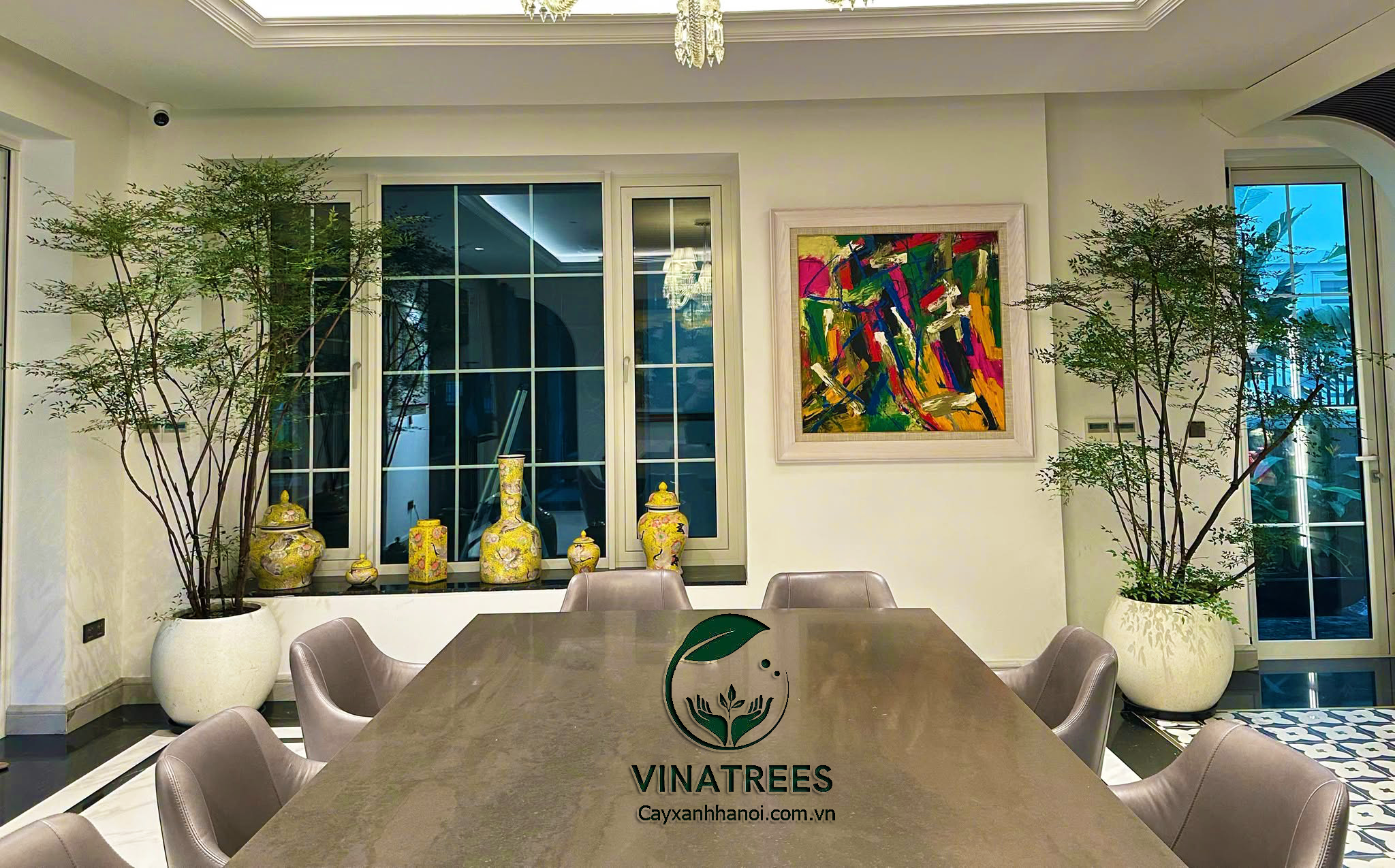 Cách chăm sóc cây nam thiên trúc trong nhà _Vinatrees